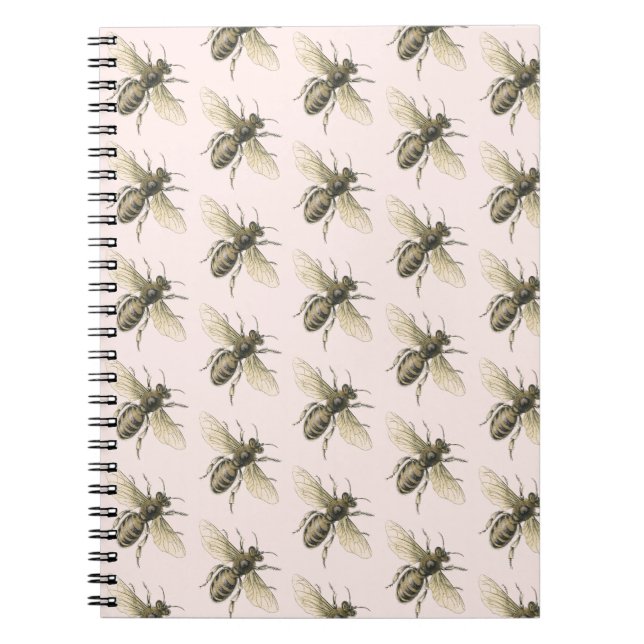 Espiral Caderno das abelhas ocupadas (Frente)