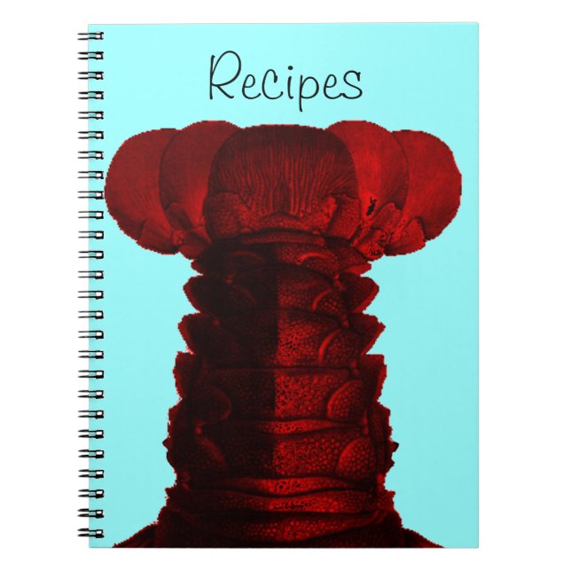 Espiral Caderno das receitas da lagosta de Maine (Frente)