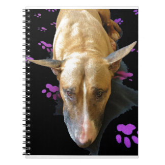 Espiral Caderno de bull terrier do inglês
