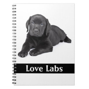 Espiral Caderno de Cachorrinho Labrador Retriever Preto Lo