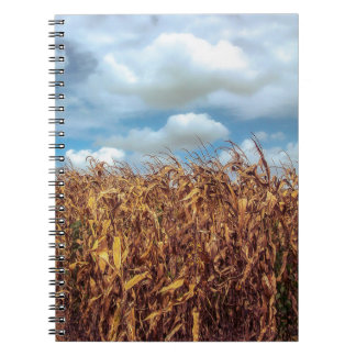 Espiral Caderno de Campo de Milho Rústico e Céu Azul Dramá