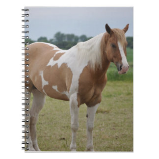 Espiral Caderno de Cavalo