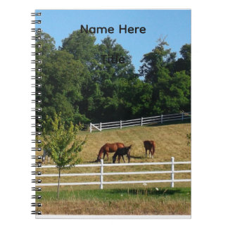Espiral Caderno de Cavalos