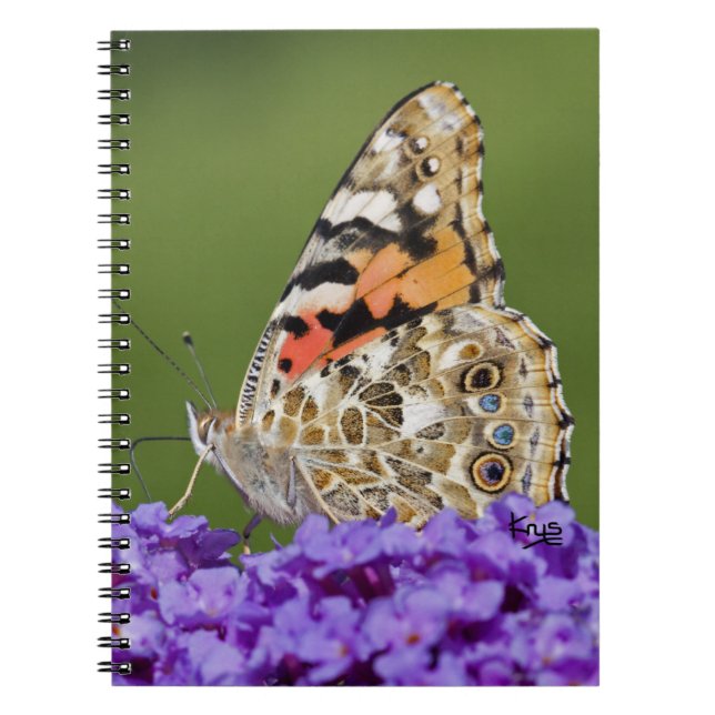 Espiral Caderno de Coleta de Néctar (Frente)