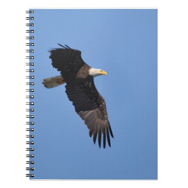 Espiral Caderno de Eagle (Frente)