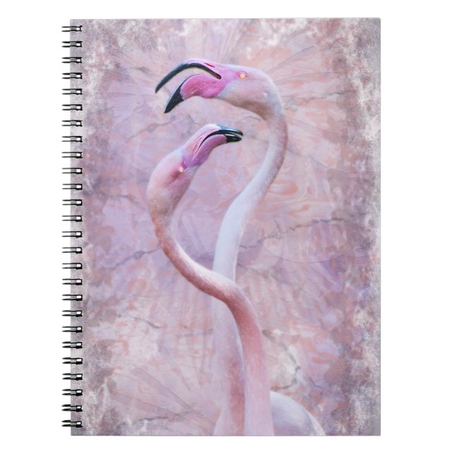 Espiral Caderno de Flamenco (Frente)