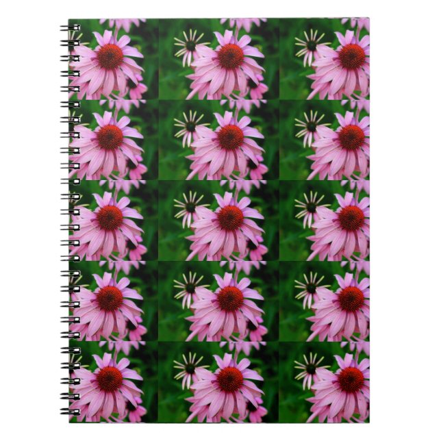 Espiral caderno de flores de echinacea (Frente)