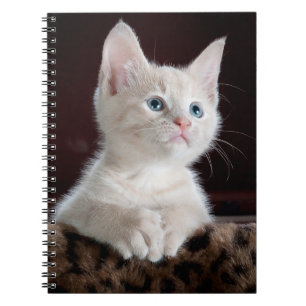 Espiral Caderno de Fotos (80 Páginas Preto e Branco)