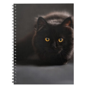Espiral Caderno de Fotos (80 Páginas Preto e Branco)