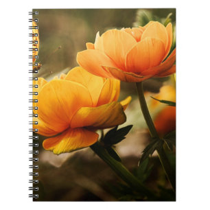 Espiral Caderno de Fotos (80 Páginas Preto e Branco)