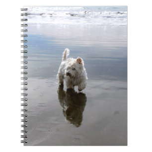 Espiral Caderno de Fotos de Reflexo de Westie na Praia