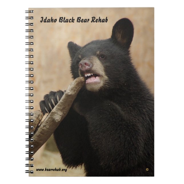 Espiral Caderno de Lanikai (Frente)