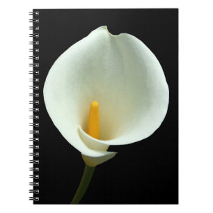 Espiral Caderno de Lilly
