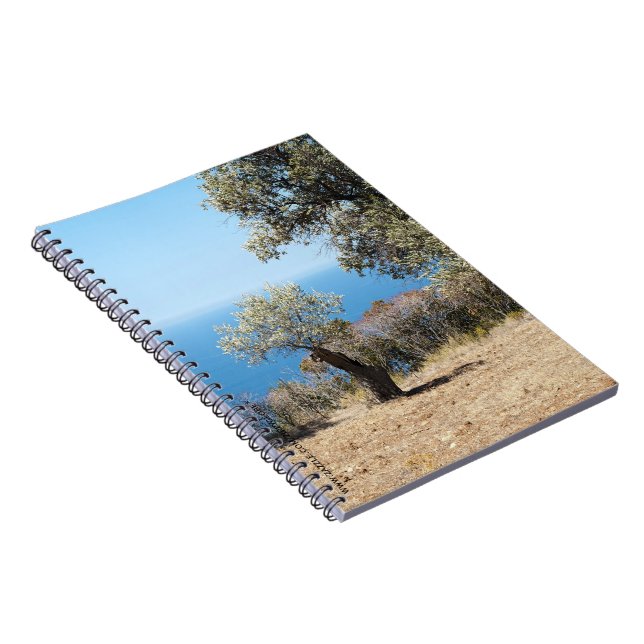 Espiral Caderno de Mallorca (Lado Direito)