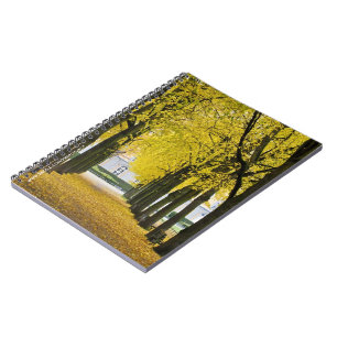 Espiral Caderno de Outono