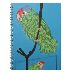 Espiral caderno de papagaio verde