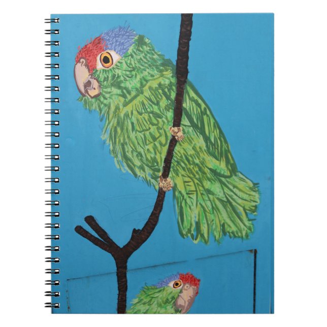 Espiral caderno de papagaio verde (Frente)