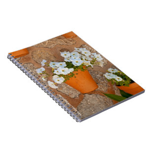 Espiral Caderno de Parede Espanhol