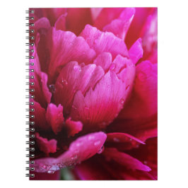Espiral Caderno de Pétalas de Flor de Peônia Após a Chuva