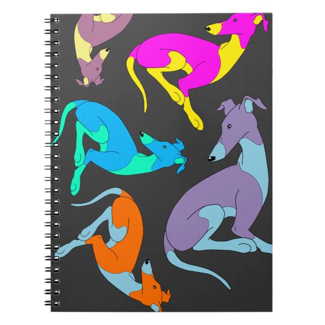 Espiral Caderno de Roo (Frente)