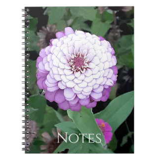Espiral Caderno de Zínia Lavanda