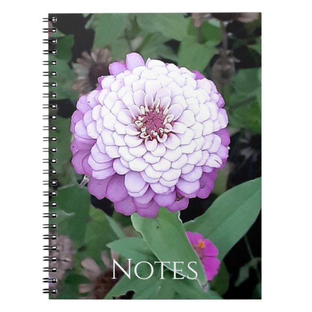 Espiral Caderno de Zínia Lavanda (Frente)