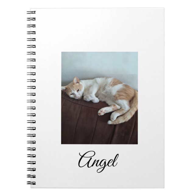 Espiral Caderno do Anjo o Gato Sassy (Frente)