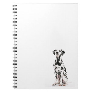 Espiral Caderno do cão do fogo