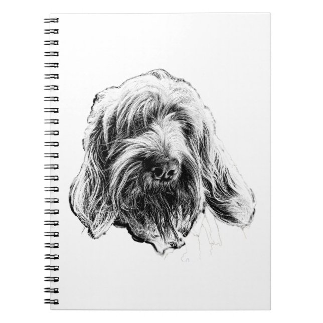 Espiral Caderno do Cão Spinone Italiano (Frente)