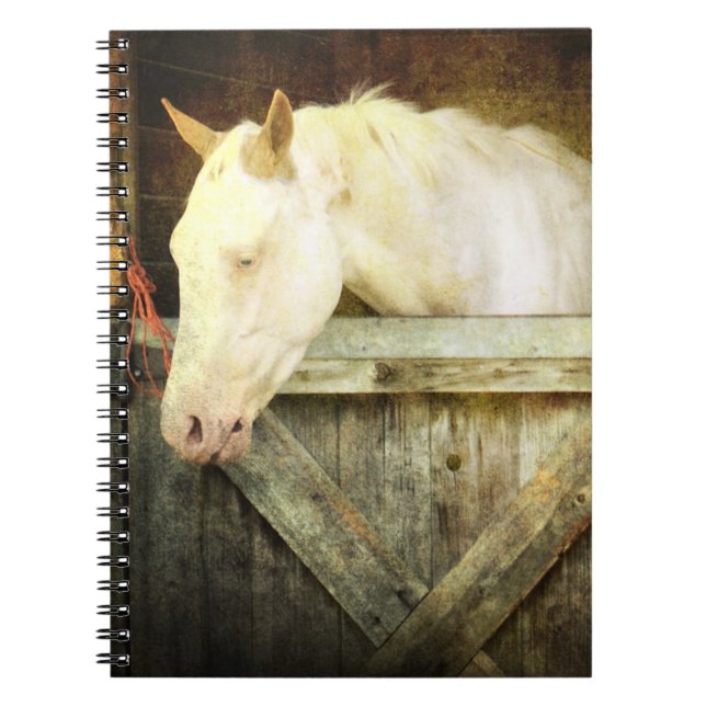 Espiral Caderno do cavalo branco (Frente)