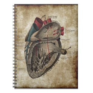 Espiral Caderno do diagrama do coração do vintage