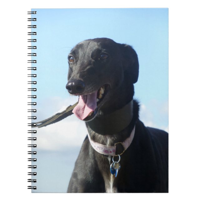 Espiral Caderno do galgo (P001) (Frente)