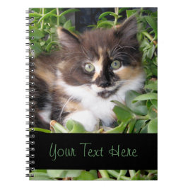 Espiral Caderno do gatinho da chita