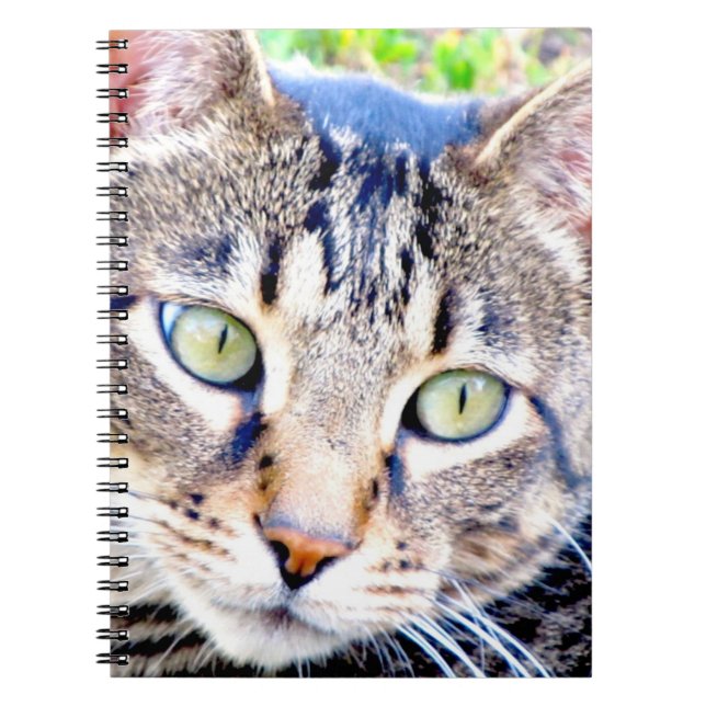 Espiral Caderno do gato (Frente)