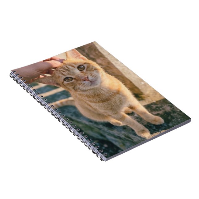 Espiral Caderno do Gato Laranja (Lado Direito)