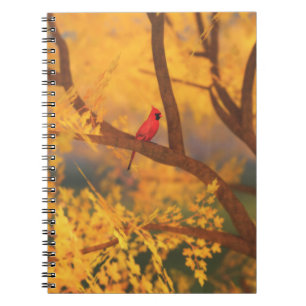 Espiral Caderno do guardião do outono