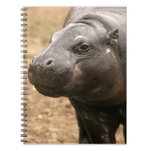 Espiral Caderno do hipopótamo do pigmeu