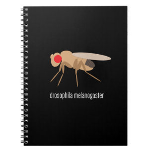 Espiral Caderno do laboratório da drosófila
