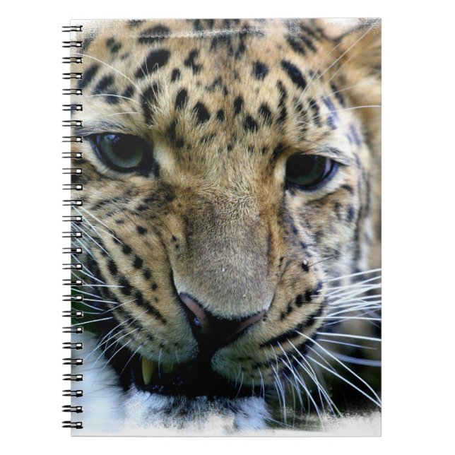 Espiral Caderno do leopardo de Amur (Frente)