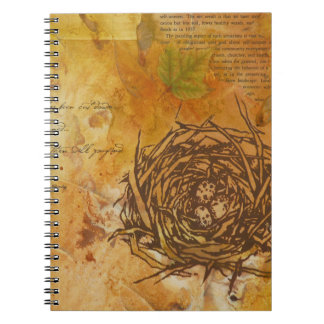 Espiral Caderno do ninho