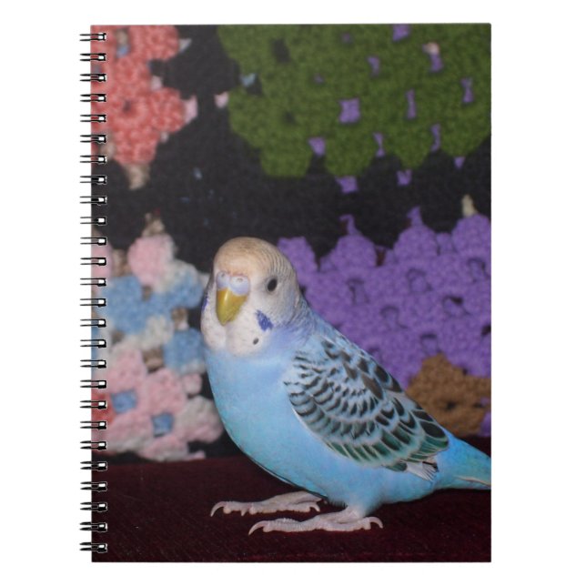 Espiral Caderno do Parakeet (Frente)