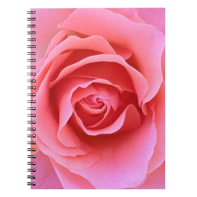 Espiral Caderno do rosa do rosa (Frente)