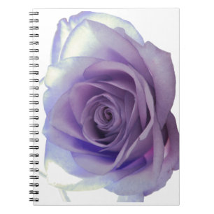 Espiral Caderno do rosa do roxo
