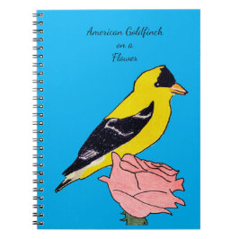 Espiral Caderno do Tentilhão Americano