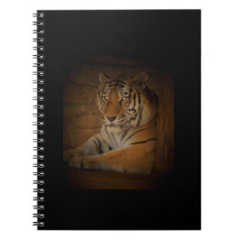 Espiral Caderno do Tigre