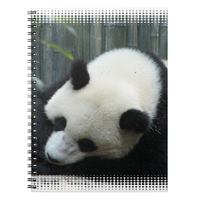 Espiral Caderno do urso de panda (Frente)