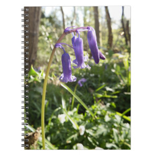 Espiral Caderno dos Bluebells