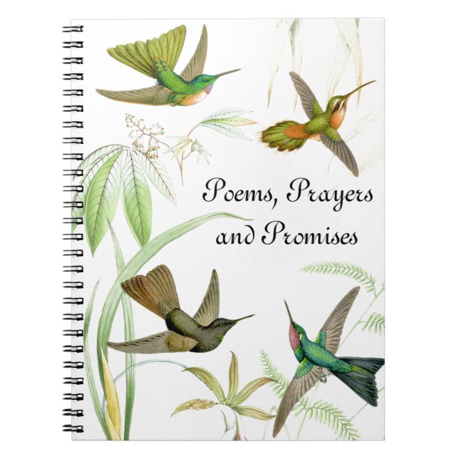 Espiral Caderno dos colibris de Goulds (Frente)