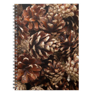 Espiral Caderno dos cones do pinho