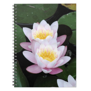 Espiral Caderno dos lírios de água